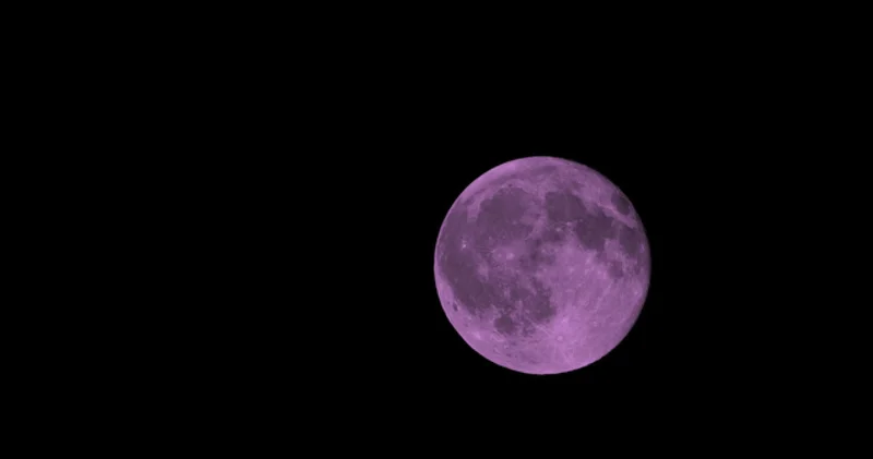 Bahar sembolü Pembe Dolunay Türkiye den görülecek mi? 2026 Pembe Dolunay ne zaman, saat kaçta görülecek?