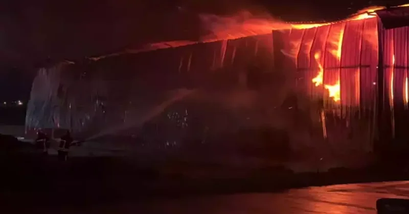 Osmaniye’de karton fabrikasında yangın