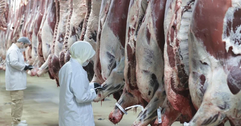 Ankara merkezli 8 ilde kırmızı et operasyonu: 30 şüpheli gözaltına alındı