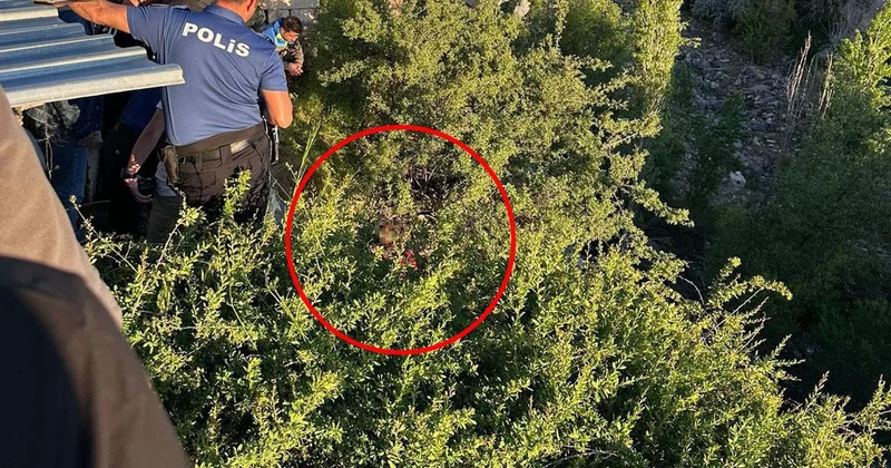 Engelli Şahıs Dereye Düşüp Ağaçta Asılı Kaldı