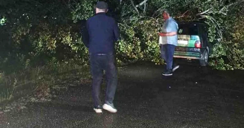 Bartın da Fırtına Ağaçları Devrip Araçlara Zarar Verdi