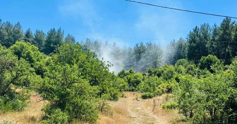 Menteşe’de orman yangını