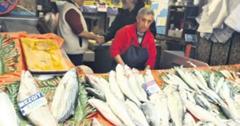 Mavi vatanın ihracat gücü büyüyor