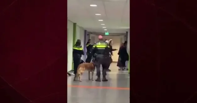 Barbar Avrupa yine sahnede: Filistinli hamile kadını yerden yere vurdular!