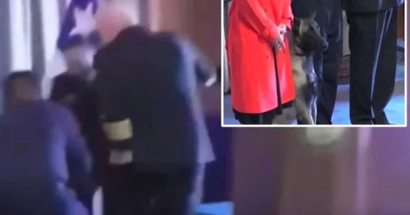 Narkotik köpeği tümamirale saldırdı: Cebinde ne vardı? Sözcü Gazetesi