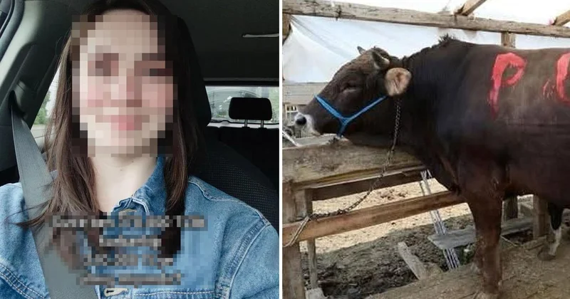 370 bin TL lik kurbanı 210 bin TL ye aldı, sorduğu soru olay oldu