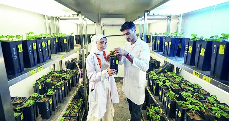 Milli tohumculuğa 17 türde 39 yeni çeşit Ekonomi Haberleri