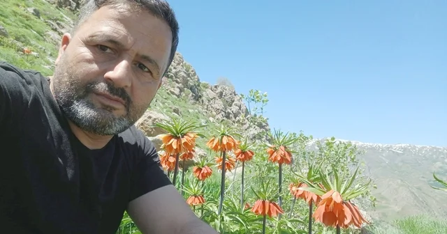 Hakkari de 2 bin 700 rakımda ters laleler görüntülendi Hakkari Haberleri