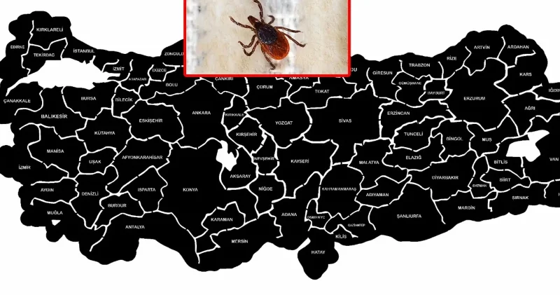 Kene ölümleri artıyor: Riskin en yüksek olduğu 5 il açıklandı Aktüel Haberleri