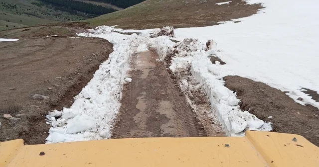Karla kaplanan yayla yolunu belediye ekipleri açtı Ardahan Haberleri