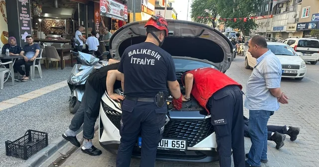Kaputa saklanan yavru kedi, itfaiyeyi ekibini peşinden koşturdu Balıkesir Haberleri