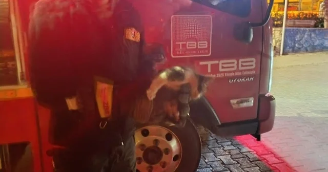 Motor kısmına sıkışan kedi için seferber oldular Adıyaman Haberleri