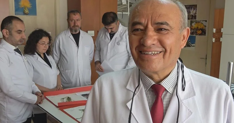 Konya da 4 Yeni Kayagülü Türü Keşfedildi