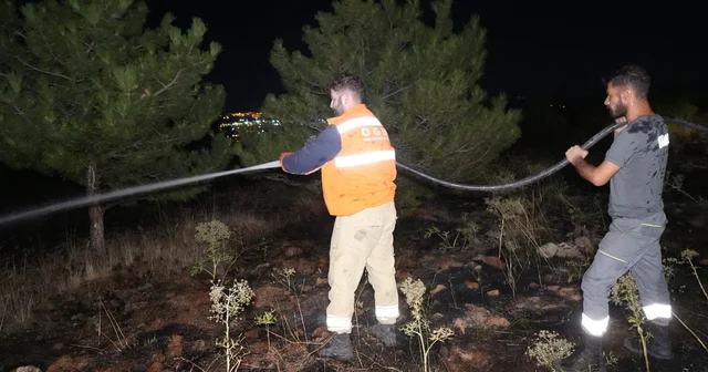 Bir kuş çam ormanlarını alevlerin eşiğine getirdi: Yangın büyümeden söndürüldü Kırıkkale Haberleri Habertürk Yerel Haberler