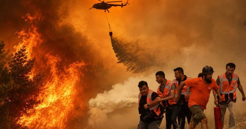 Orman yangınlarında son durum: Balıkesir de başlayan cehennem İzmir e ulaştı
