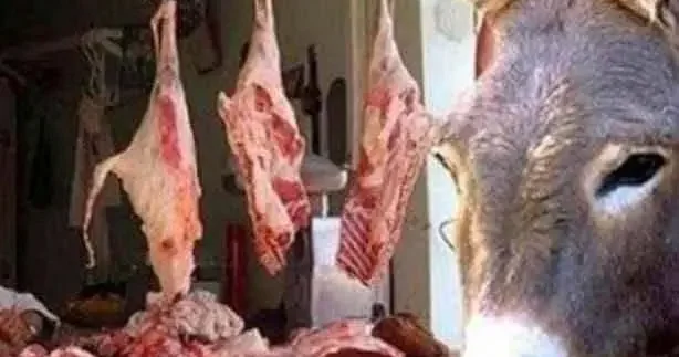 Vatandaşına en çok eşek eti yediren ülkeler açıklandı! Birinci sıra şaşırtmadı...