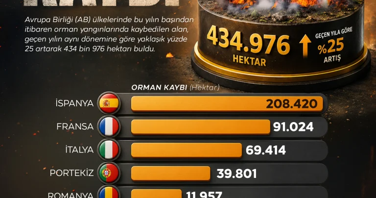 AB ülkelerinde bu yıl orman yangınlarında kayıp 435 bin hektarı buldu