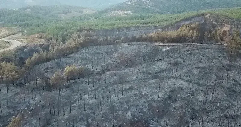 Muğla’daki yangınlarda 5 bin hektardan fazla alan zarar gördü