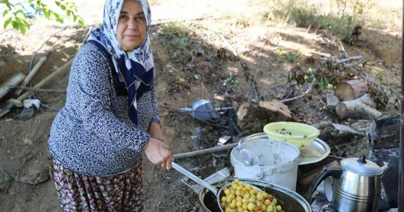 Satılamayan kirazlar kurutularak kışlık çerez oluyor!