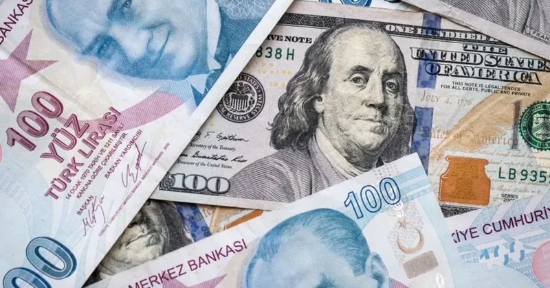 Bankacılık sektörünün döviz varlıkları geriledi