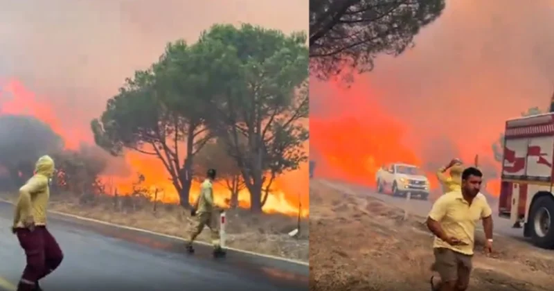 Gömeç yangının arkasındaki gerçek ortaya çıktı! 2 kişi tutuklandı Sözcü Gazetesi