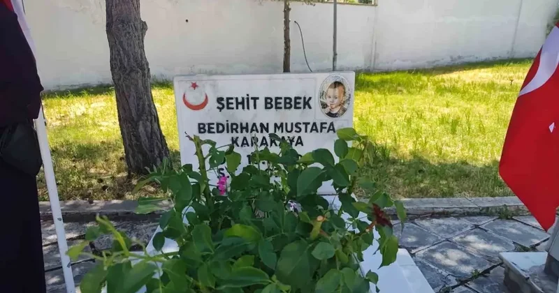 PKK’nın şehit ettiği 11 aylık Bedirhan bebek ve annesi unutulmadı