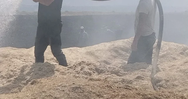 Bingöl de arazi yangını: 2 bin dönüm arazi zarar gördü Bingöl Haberleri Habertürk Yerel Haberler