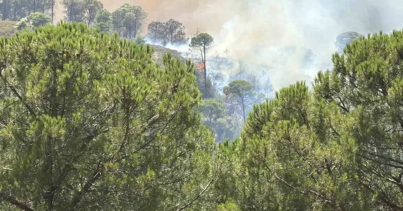 Balıkesir’deki yangın tekrar yayılıyor