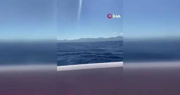 Feribot faciasında gençlerin ölüm kalım mücadelesi: Anne ölüyoruz, hakkını helal et