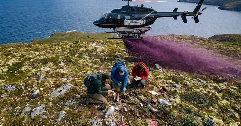 Helikopterle adaya tonlarca zehir bıraktılar: Yerde buldukları şey büyük bir felaketti Sözcü Gazetesi