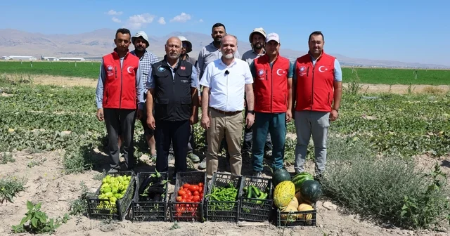 NÖHÜ de 51 bin fideyle üretilen ürünlerin hasadı yapıldı Niğde Haberleri Habertürk Yerel Haberler