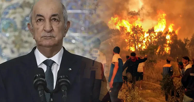 Cezayir Cumhurbaşkanı Tebbun dan orman yangınlarını çıkaranlara idam cezası talimatı