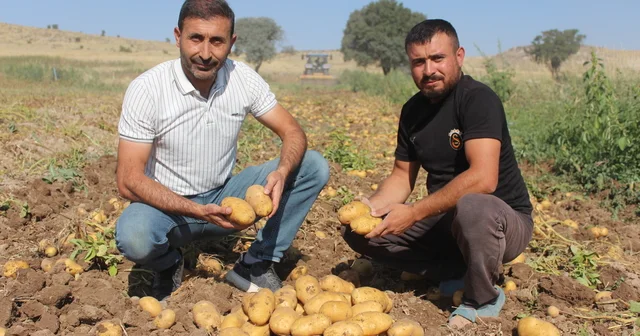 Patatesin tarladaki kilo fiyatı 10, pazar ve marketlerde 40 lira Aksaray Haberleri Habertürk Yerel Haberler