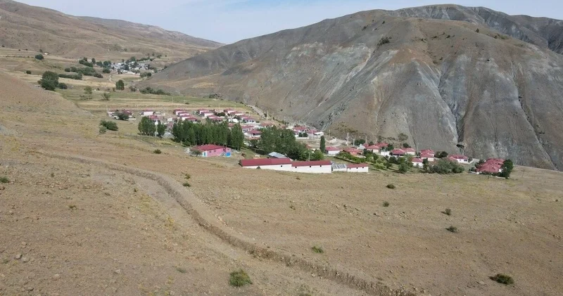 Son dakika: Erzincan’da ayı dehşeti: Ağıla giren ayı 144 hayvanı telef etti Son dakika haberleri