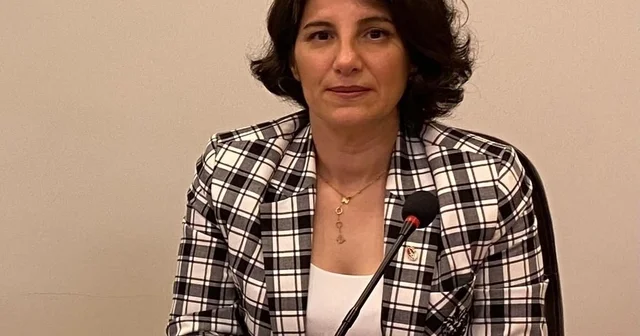 Düğün yemeklerinde gıda güvenliği uyarısı Veteriner Hekim Melike Baysal: Tavuklu pilavda yaz riskine dikkat Bursa Haberleri Habertürk Yerel Haberler