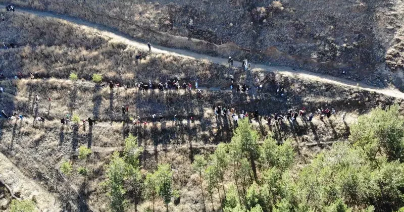 Bayburt’ta minik eller ‘Yeşil Vatan’ için fidan dikti
