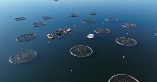 Bakan Yumaklı: Kovan varlığında 3 üncü sırada, bal üretiminde 2 nci sıradayız (3) Tunceli Haberleri