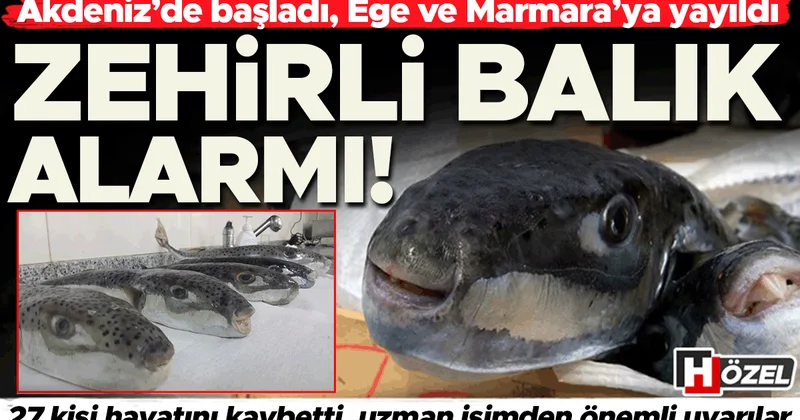 Akdeniz’de başladı, Ege ve Marmara’ya yayıldı: Zehirli balık alarmı! Bugüne kadar 27 kişi hayatını kaybetti
