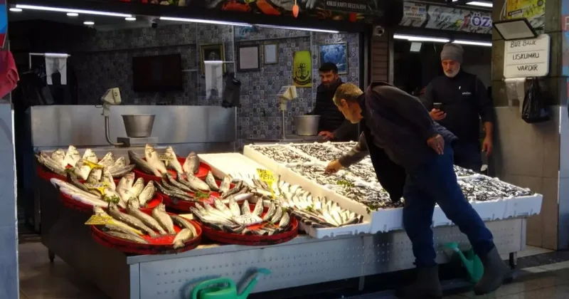 Palamut sezonu başlamadan bitti!