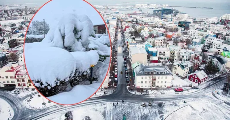 İzlanda felç oldu: 100 yıldır böyle bir şey yaşanmamıştı Sözcü Gazetesi