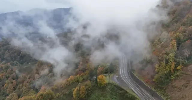 Ordu’nun yükseklerinde sis ve sonbahar renkleri büyüledi VİDEO İZLE