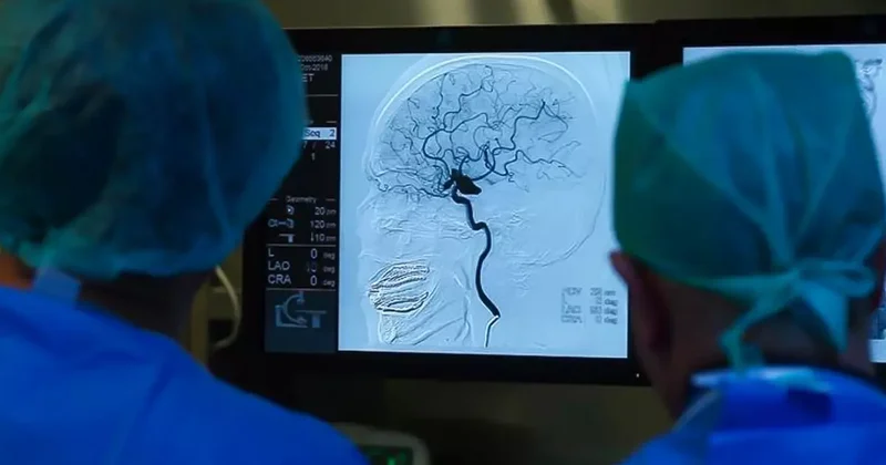 Türkiye de yıllar sonra 2 vaka görüldü! Tedavisi yok, komaya götürüyor