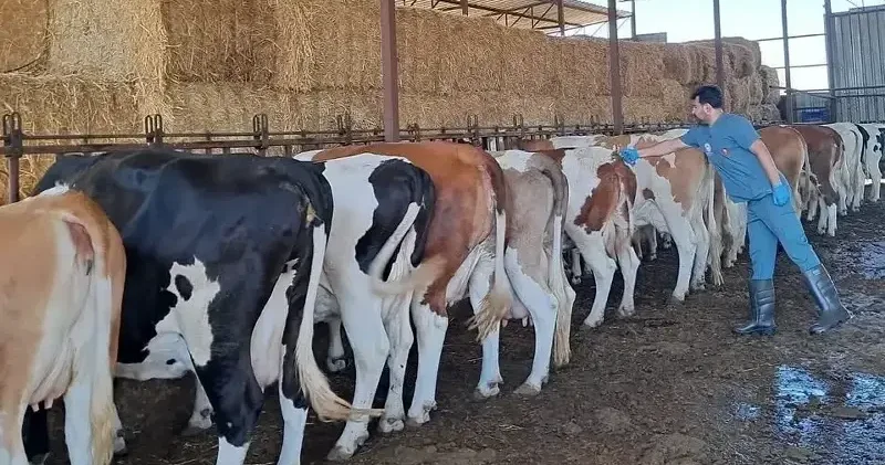 Nazilli’de 13 mahalle karantinaya alındı Hayat Haberleri