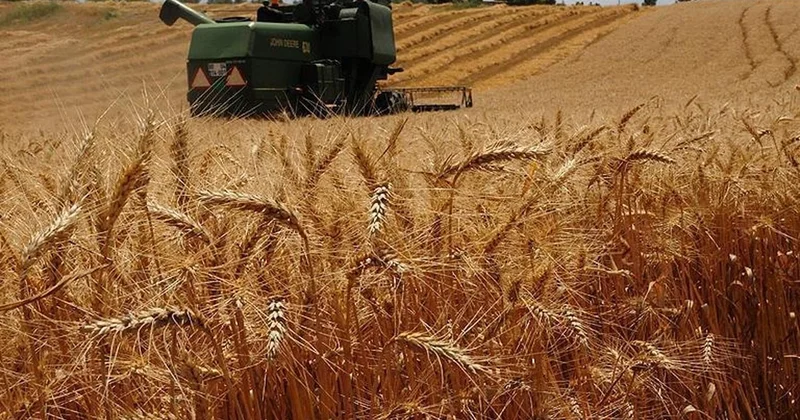 Çiftçi borç batağında: Depodaki buğdaya kadar haciz geliyor Sözcü Gazetesi