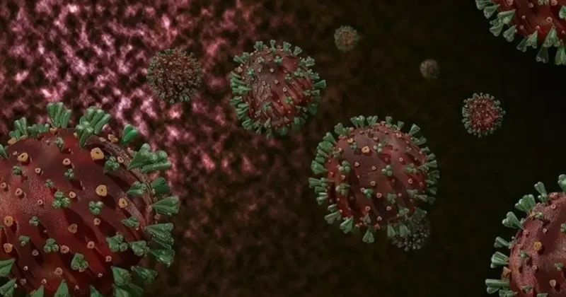 M Çiçeği Virüsü Yayılıyor