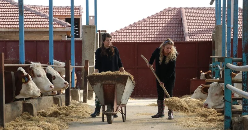 Hayvancılıkta verimlilik gelecek yıl desteklerle artırılacak