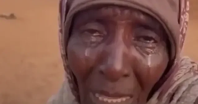 Sudan kan ağlıyor: Yaşlı kadın yaşanan katliam karşısında dünyaya gözyaşları içinde çağrı yaptı VİDEO İZLE