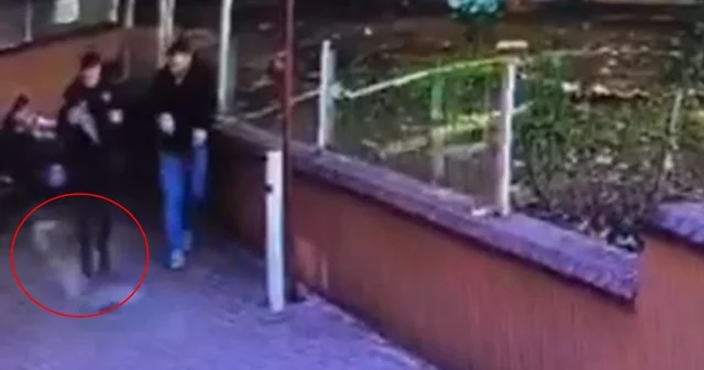 İtfaiyeci, AVM balkonundan atılan içi dolu pet şişeden son anda kurtuldu Bursa Haberleri