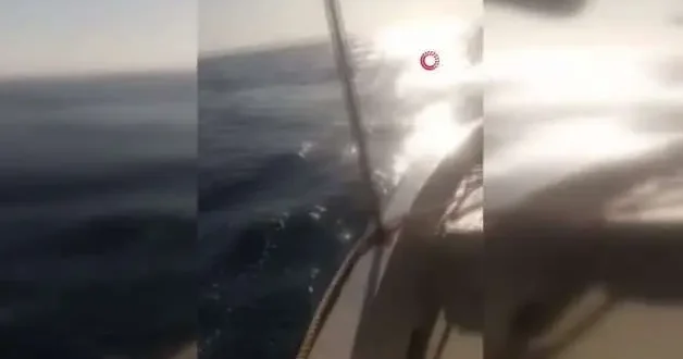 Dev köpekbalığını gören balıkçıdan bomba tepki