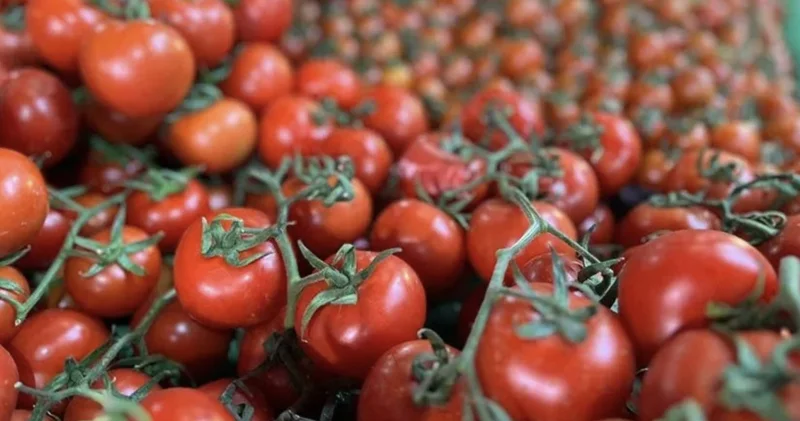TZOB açıkladı: Ekim ayında marketlerin zam şampiyonu belli oldu